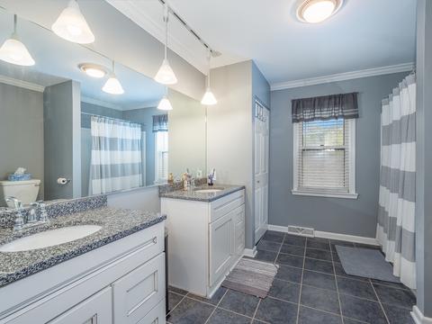 309 W Morse Ave, Bartlett, IL 60103 photo 17