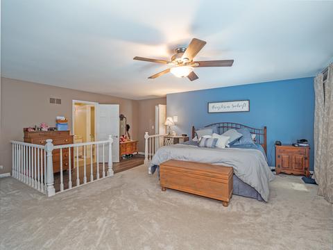 309 W Morse Ave, Bartlett, IL 60103 photo 16