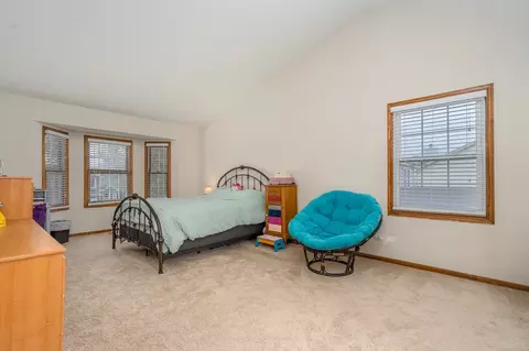 4419 W Riverside Dr, Plainfield, IL 60586 photo 15