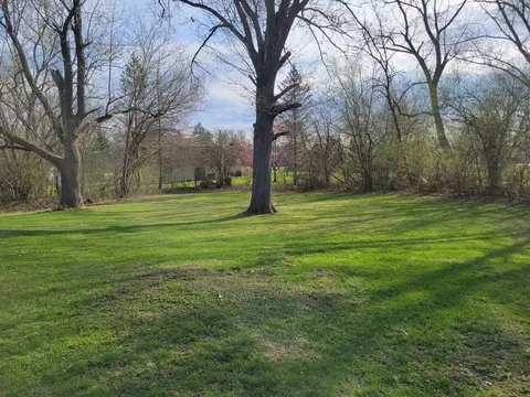 645 Birch Ln, Olympia Fields, IL 60461 photo 13