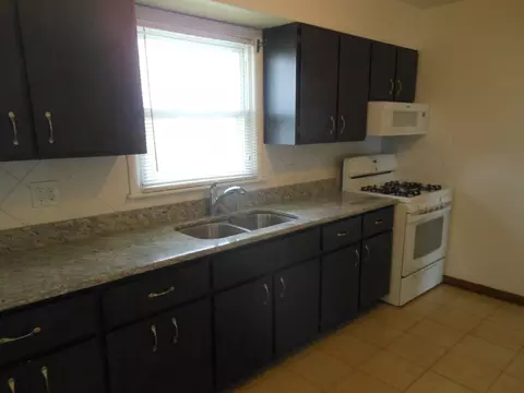 2505 Von Esch Rd, Plainfield, IL 60586 photo 6