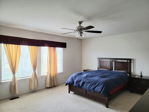 1761 Ruzich Dr, Bartlett, IL 60103 photo 18