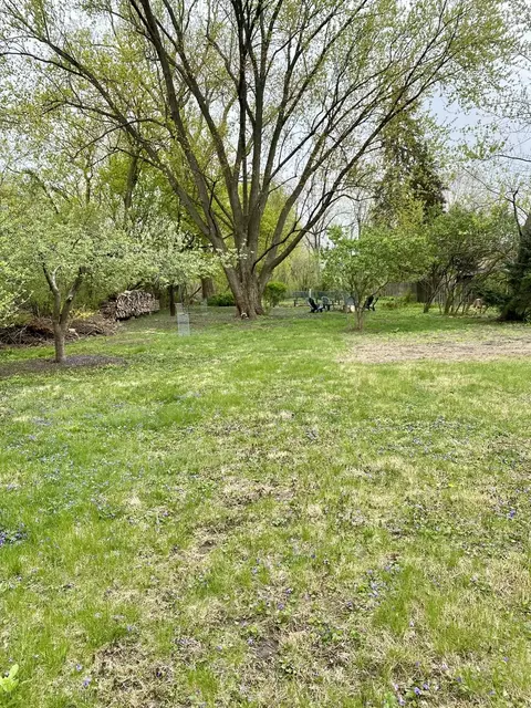 407 S Warrington Rd, Des Plaines, IL 60016 photo 23