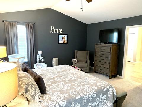 12334 Limerick Ln, Plainfield, IL 60585 photo 13