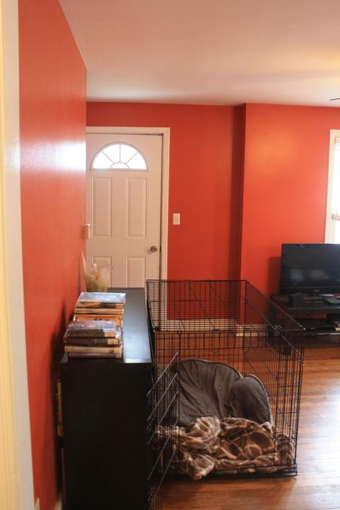 3509 Ruby St, Franklin Park, IL 60131 photo 7