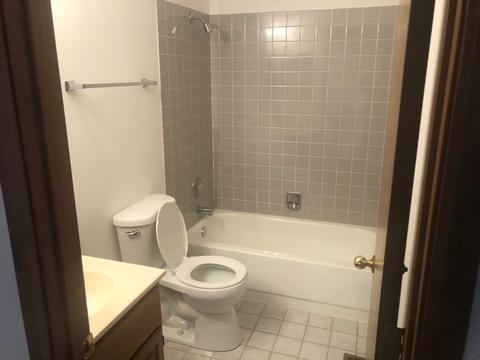 21067 W Hazelnut Ln, Plainfield, IL 60544 photo 11