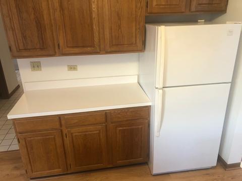 21067 W Hazelnut Ln, Plainfield, IL 60544 photo 5