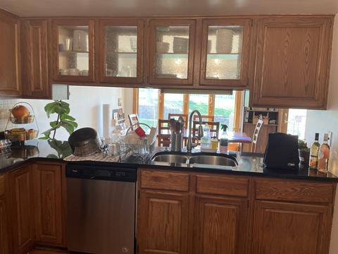 1837 Golf View Dr, Bartlett, IL 60103 photo 4