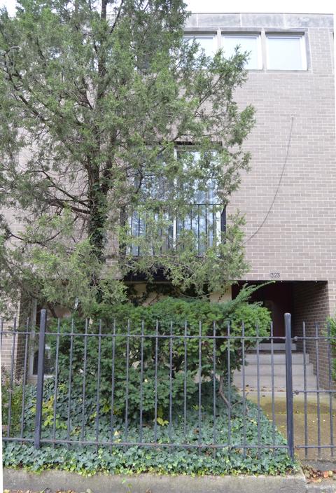 1323 E 55th St, Chicago, IL 60615 photo 1