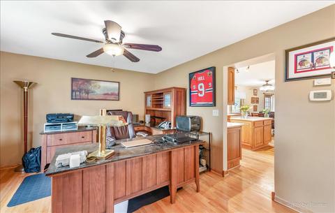 843 Pear Tree Ln, Bartlett, IL 60103 photo 25