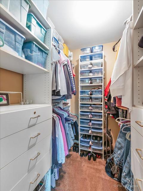 843 Pear Tree Ln, Bartlett, IL 60103 photo 17