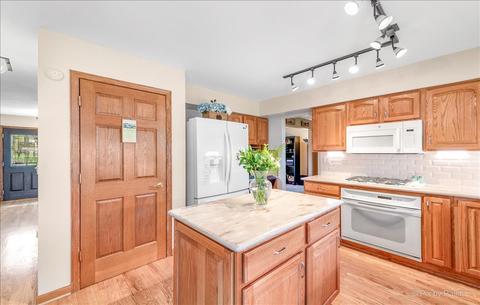 843 Pear Tree Ln, Bartlett, IL 60103 photo 9