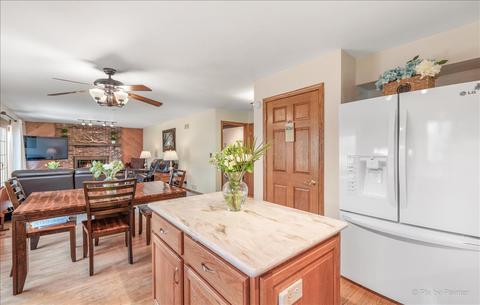 843 Pear Tree Ln, Bartlett, IL 60103 photo 11