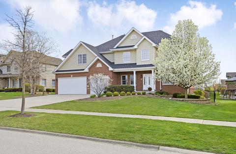18705 Eagle Trace Ct, Mokena, IL 60448 photo 1