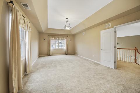 18705 Eagle Trace Ct, Mokena, IL 60448 photo 28