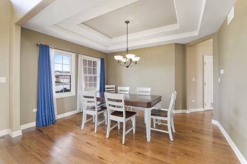 18705 Eagle Trace Ct, Mokena, IL 60448 photo 9