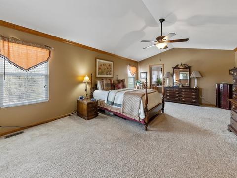 11310 Glenbrook Cir, Plainfield, IL 60585 photo 18