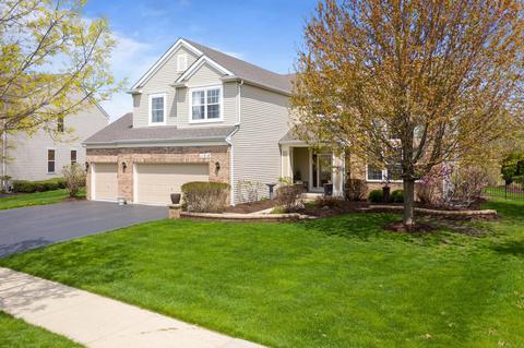 11310 Glenbrook Cir, Plainfield, IL 60585 photo 3