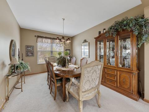 11310 Glenbrook Cir, Plainfield, IL 60585 photo 8