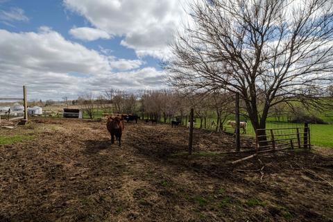 9446 Adeline Rd, Leaf River, IL 61047 photo 70