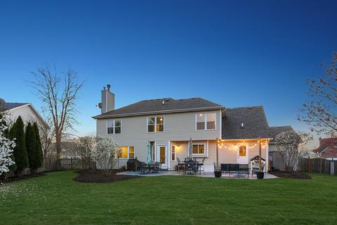 25043 Michele Dr, Plainfield, IL 60544 photo 31