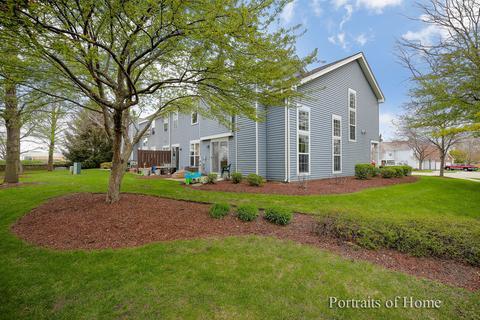 24 Cedar Grove Ct, Algonquin, IL 60102 photo 15
