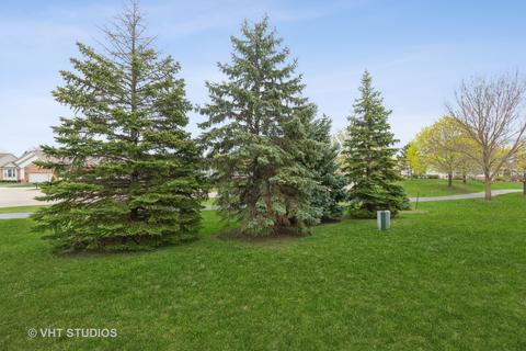 1 Brixton Ct, Algonquin, IL 60102 photo 25