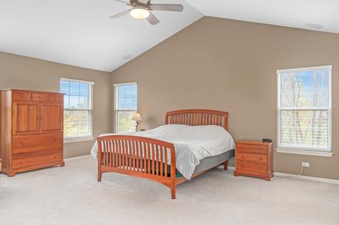 1403 Saddleridge Pl, Bartlett, IL 60103 photo 18
