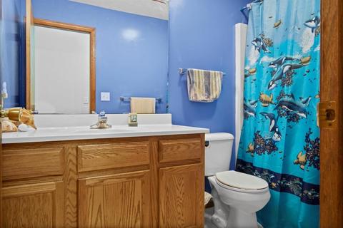 101 S Tipsord St, Arrowsmith, IL 61722 photo 13