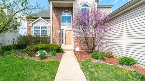 228 Norwich Dr, Bartlett, IL 60103 photo 3