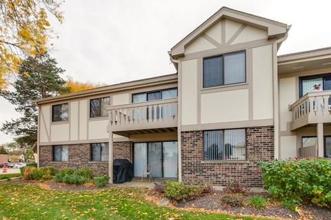 1132 Hawthorne Ct #D2, Wheeling, IL 60090 photo 25