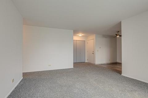 1132 Hawthorne Ct #D2, Wheeling, IL 60090 photo 13
