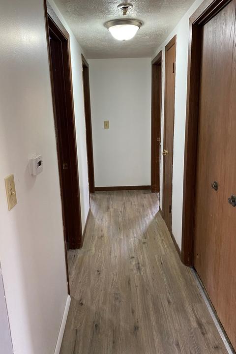 127 Clark St, Chenoa, IL 61726 photo 7