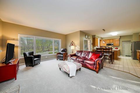 2 Rochester Ct, Algonquin, IL 60102 photo 6