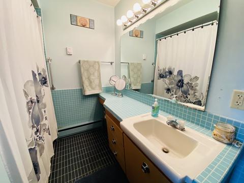 409 Morris Rd, Dwight, IL 60420 photo 15