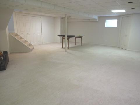 1386 Newcastle Ln, Bartlett, IL 60103 photo 25