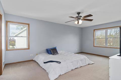 4517 Hedge Row Ct, Plainfield, IL 60586 photo 20