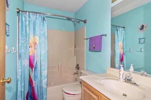 4517 Hedge Row Ct, Plainfield, IL 60586 photo 21