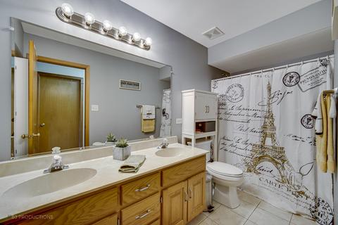22011 Chamomile Dr, Frankfort, IL 60423 photo 19