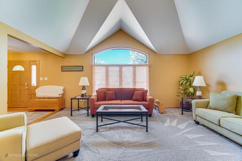 22011 Chamomile Dr, Frankfort, IL 60423 photo 3
