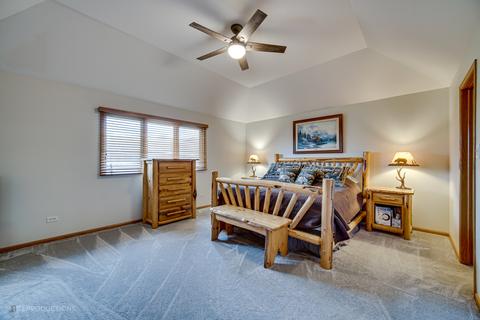22011 Chamomile Dr, Frankfort, IL 60423 photo 15