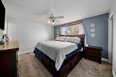 4609 Peacock Ln, Plainfield, IL 60586 photo 22