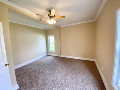 311 E Scott St, Odell, IL 60460 photo 17