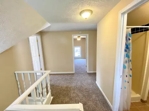 311 E Scott St, Odell, IL 60460 photo 20