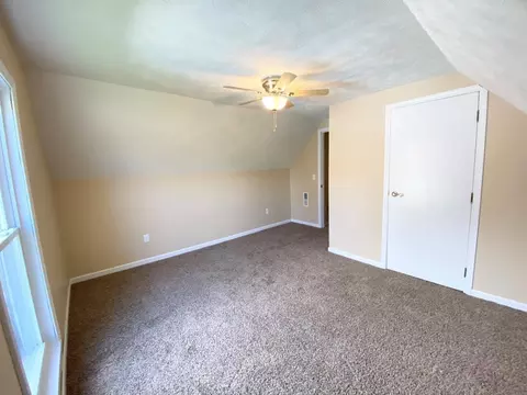 311 E Scott St, Odell, IL 60460 photo 24