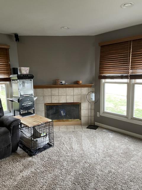 1710 E 1st St, Sterling, IL 61081 photo 8