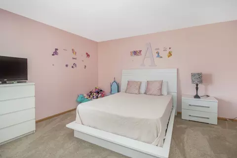 25912 Derby Dr, Monee, IL 60449 photo 13