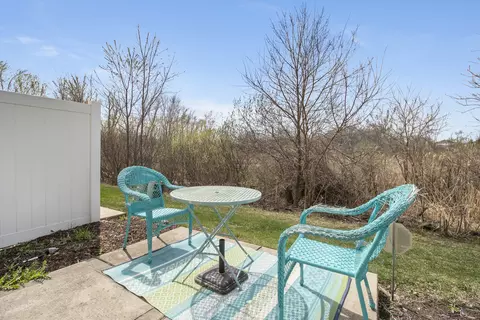 25912 Derby Dr, Monee, IL 60449 photo 19