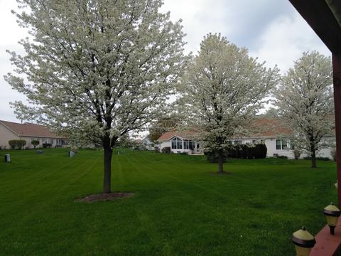 21333 W Conifer Dr, Plainfield, IL 60544 photo 19