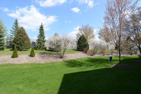 22 Clara Ct, Algonquin, IL 60102 photo 33